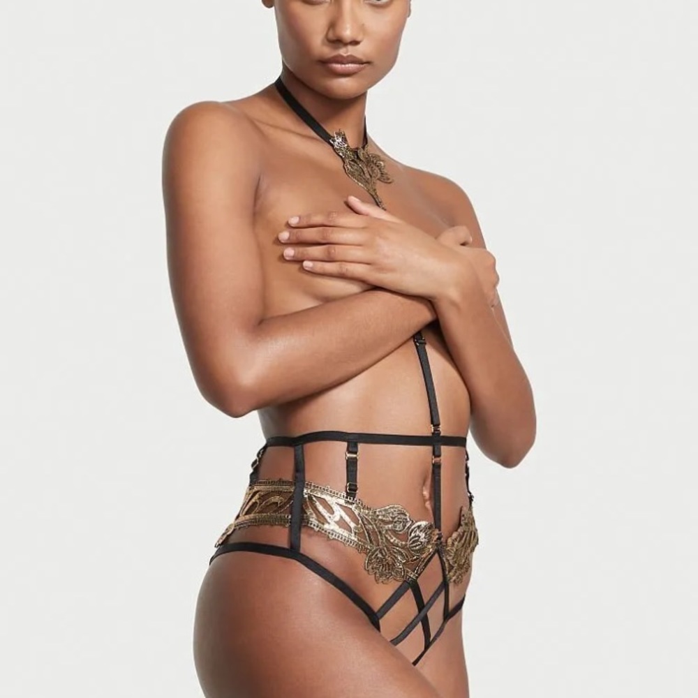 Victoria Secret Lingerie panty with harness NWT